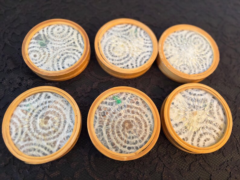 Peut inclure: Six dessous de verre ronds avec un cadre en bois clair et un centre transparent. Le centre de chaque dessous de verre pr&eacute;sente un motif blanc en spirale, semblable &agrave; de la dentelle. Les dessous de verre sont dispos&eacute;s en deux rang&eacute;es de trois.