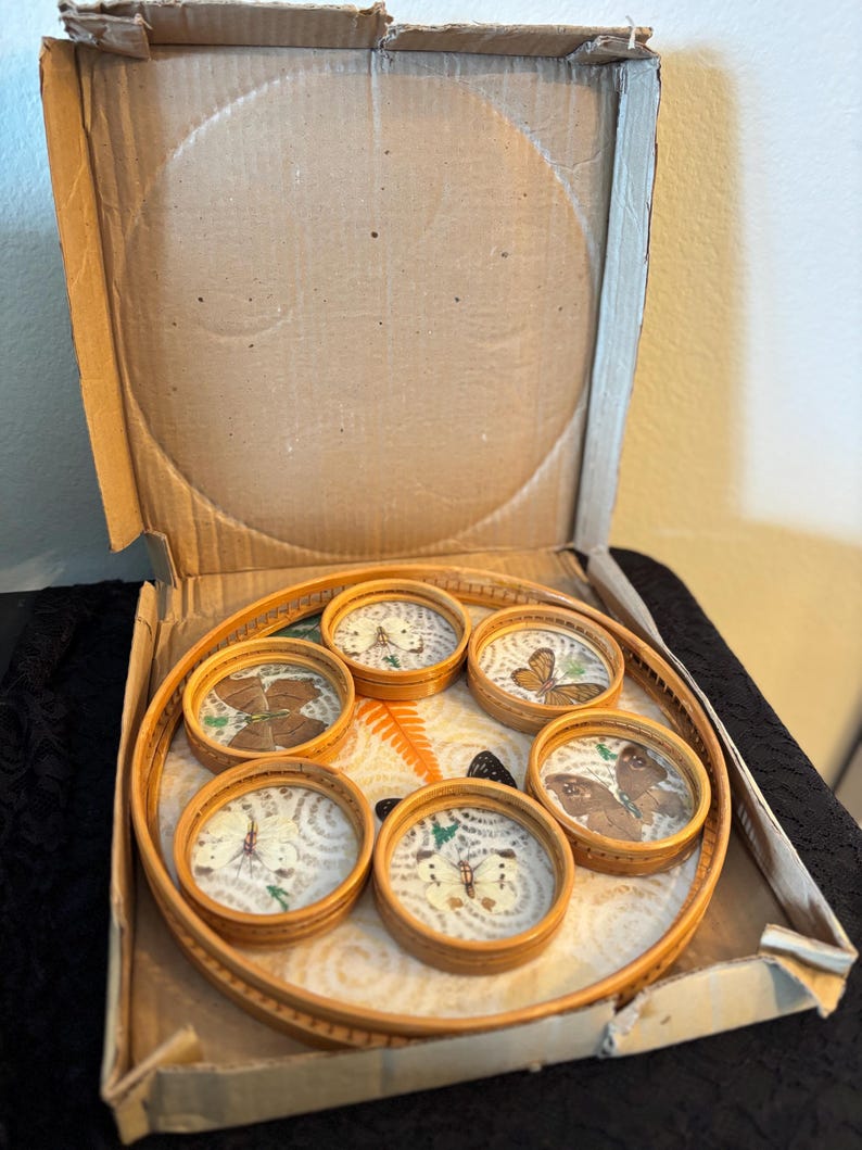 Peut inclure: Un ensemble de six dessous de verre ronds avec des sp&eacute;cimens de papillons encapsul&eacute;s dans de la r&eacute;sine transparente, pr&eacute;sent&eacute;s sur un plateau rond en bambou. Le plateau est dans une bo&icirc;te en carton. Les dessous de verre pr&eacute;sentent diverses esp&egrave;ces de papillons.