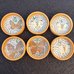 Peut inclure: Six dessous de verre ronds en bois, chacun avec un papillon pr&eacute;serv&eacute; sous verre. Les papillons sont de couleurs vari&eacute;es, avec des nuances de marron, blanc et beige. Chaque dessous de verre a un fond &agrave; motifs bleu clair et blanc.