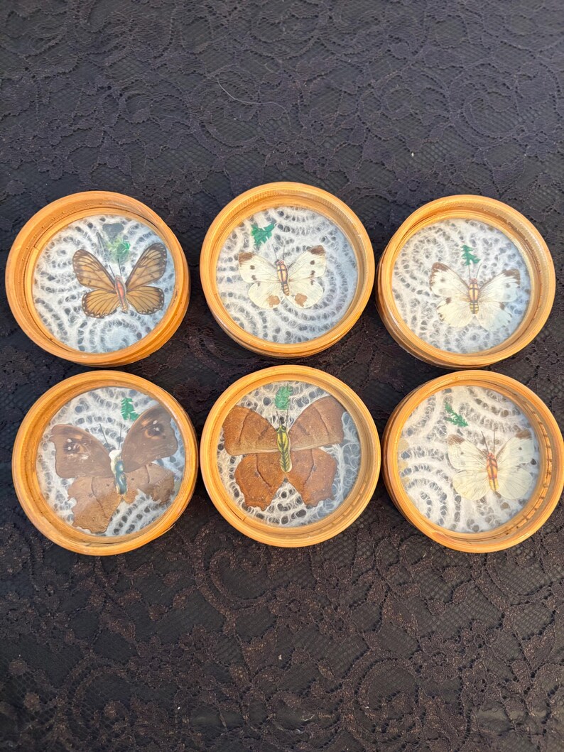 Peut inclure: Six dessous de verre ronds en bois, chacun avec un papillon pr&eacute;serv&eacute; sous verre. Les papillons sont de couleurs vari&eacute;es, avec des nuances de marron, blanc et beige. Chaque dessous de verre a un fond &agrave; motifs bleu clair et blanc.