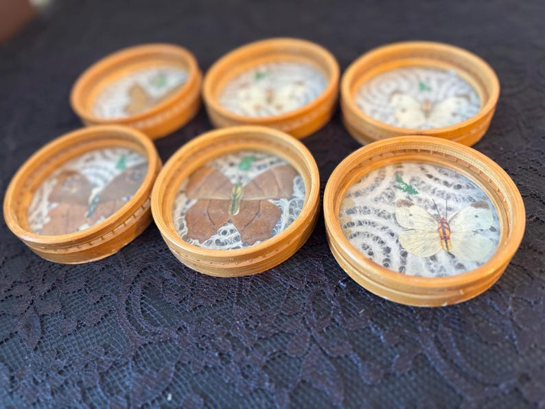 Peut inclure: Six dessous de verre ronds en bois avec un dessus en verre, chacun pr&eacute;sentant un papillon pr&eacute;serv&eacute;. Les papillons sont de couleurs vari&eacute;es, avec des nuances de marron, de blanc et de jaune. Les dessous de verre sont dispos&eacute;s sur une surface sombre et textur&eacute;e.