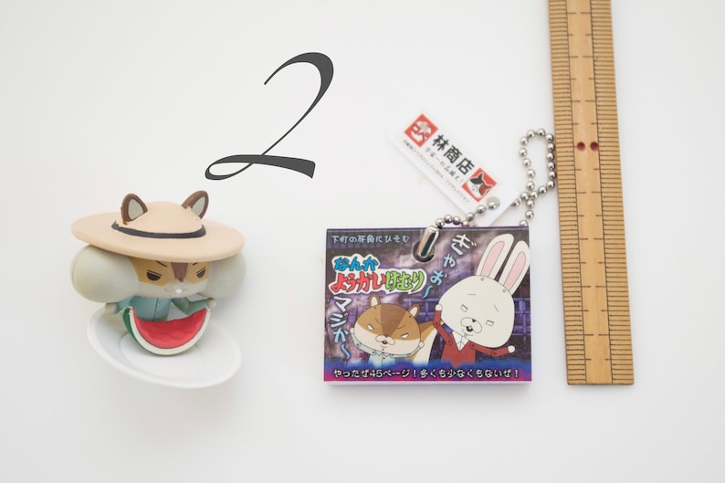 Akira-sennpai Makino charm Japanese anime characters \u7d19\u514e\u30ed\u30da Paper rabbit Rope