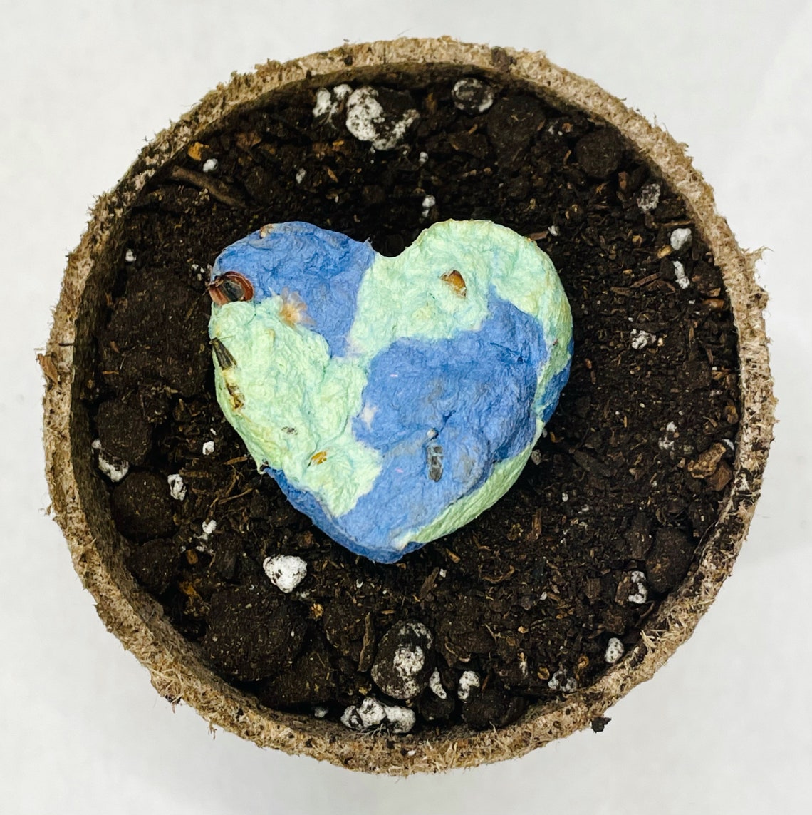 Earth Day Wildflower Seed Bombs Etsy