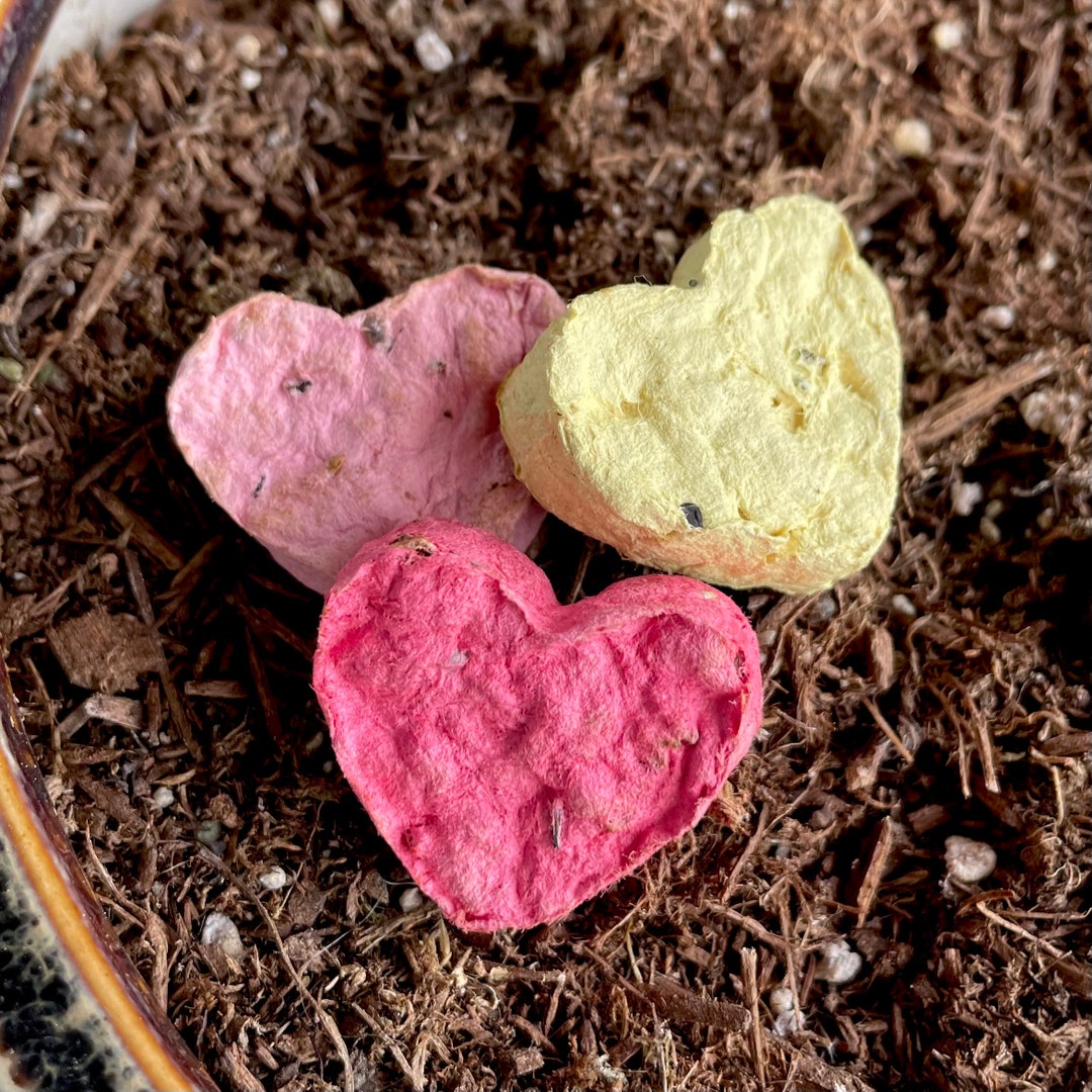 Mother's Day Wildflower Seed Bombs Etsy Canada