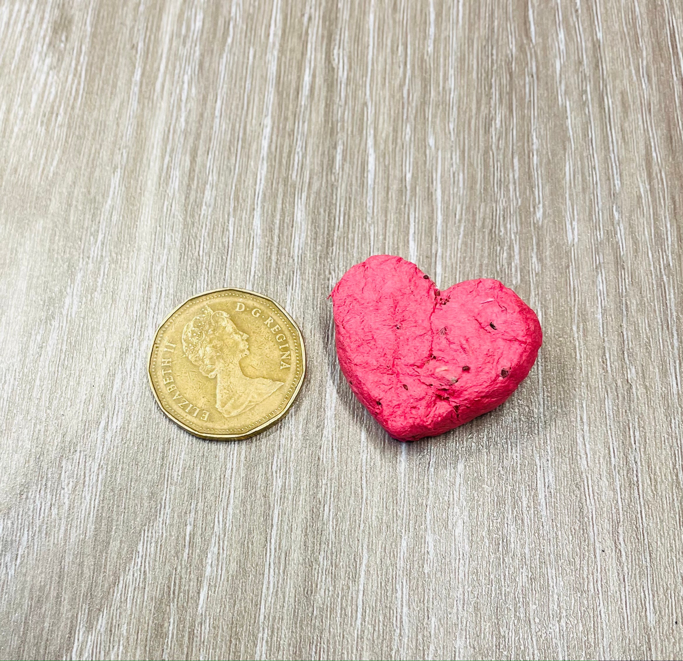 Earth Day Wildflower Seed Bombs Etsy