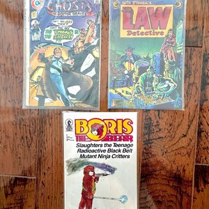 May include: Three vintage comic books in plastic sleeves. The top left is Ghosts of Doctor Graves, the top right is Will Eisner's John Law Detective, and the bottom center is Boris the Bear Slaughters the Teenage Radioactive Black Belt Mutant Ninja Critters.