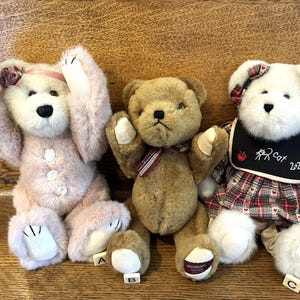 Vintage Boyds Bear: Collectible Plush Teacher, Anniversary, or Rose Button Bear
