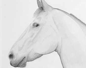 Custom Horse Portrait Sketch: Hand-Drawn Pencil Art