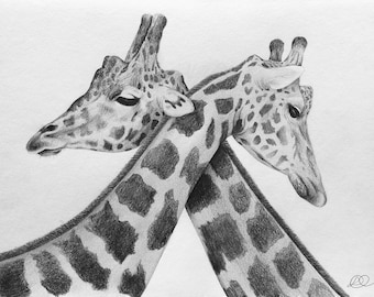 Giraffe Graphite Drawing: African Wildlife Original Artwork