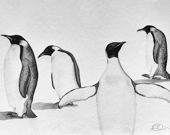 Penguin Drawing: Graphite Animal Sketch Art Print