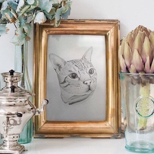 CUSTOM CAT PORTRAIT / Plus Digital File / Pencil Sketch For Animal Lover / Hand Drawn Wall Art / Pet Memorial Gift