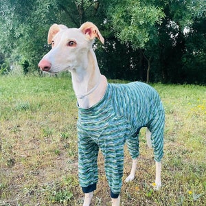 Dog Pajamas - All Sizes - Lightweight Pajamas Greyhound, Whippet - Pajamas for any dog