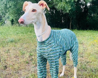 Dog Pajamas - All Sizes - Lightweight Pajamas Greyhound, Whippet - Pajamas for any dog