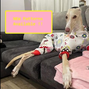Dog Pajama / Jumpsuit - All Sizes - Pajama Greyhound, Whippet - Pajamas for any dog