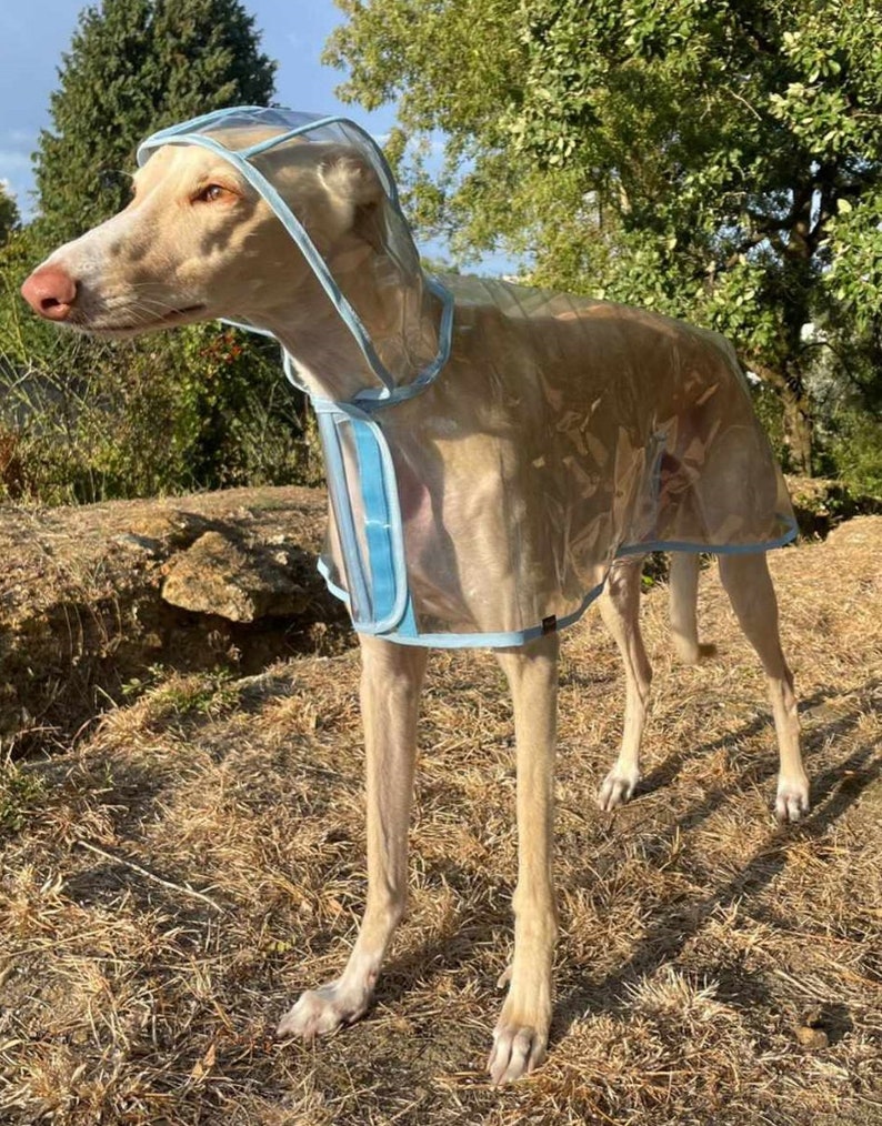 Manteau de pluie pour chien, manteau d'hiver imperméable doublé avec sangle à clip réglable toutes tailles pour lévrier, whippet et tous les chiens image 4