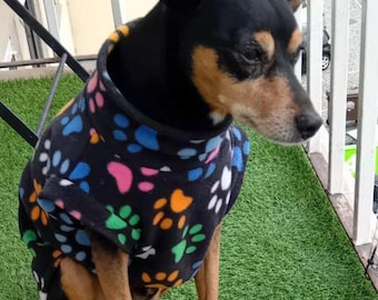 Könnte beinhalten: Ein kleiner, schwarz-brauner Hund trägt einen schwarzen Fleece-Hunde-Mantel mit einem bunten Pfotenabdruckmuster. Der Hund sitzt auf grünem Rasen, mit einem weißen Geländer und einem Blick auf ein Gebäude im Hintergrund.