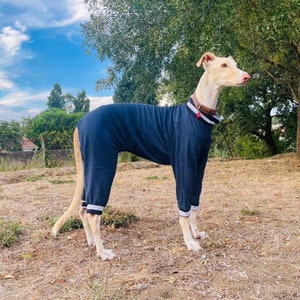 Pajama Greyhound, Saluki, Whippet, Wolfhound, Deerhound, Borzoi, Sloughi, Afghan hound / Ropa para Greyhound, dogs clothes- 6 Sizes