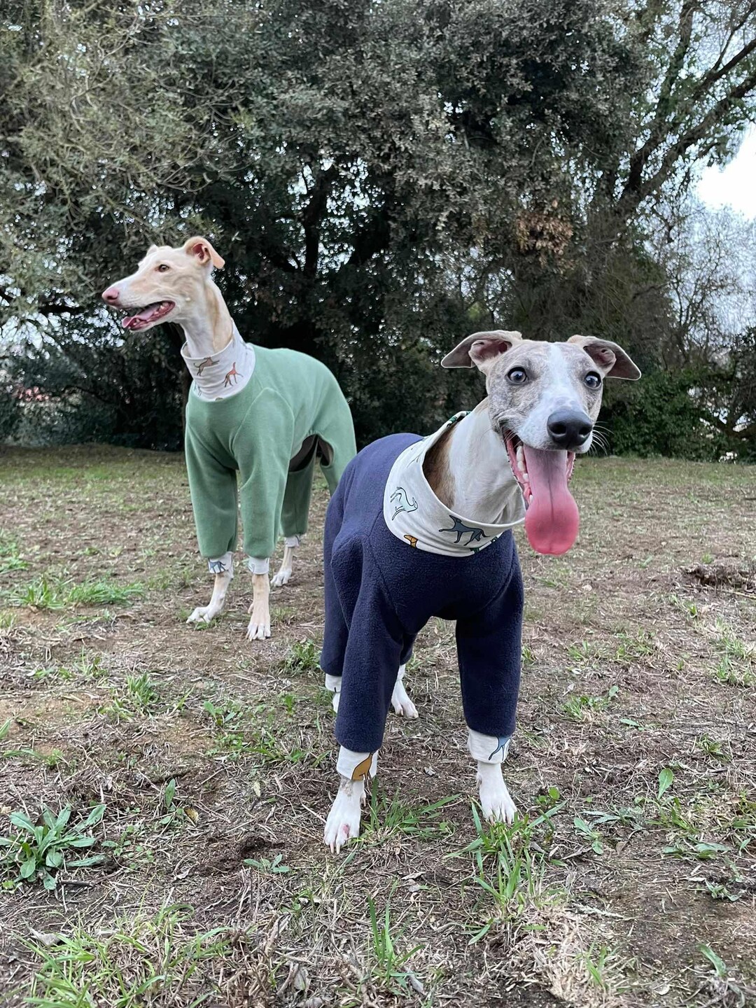 Dog Pajama All Sizes Pajama Greyhound, Whippet Pajamas for Any Dog - Etsy