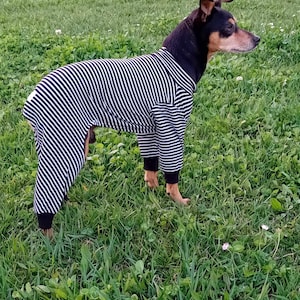 Dog Pajamas - pajamas for little dogs. All Sizes pajamas for Any Dogs