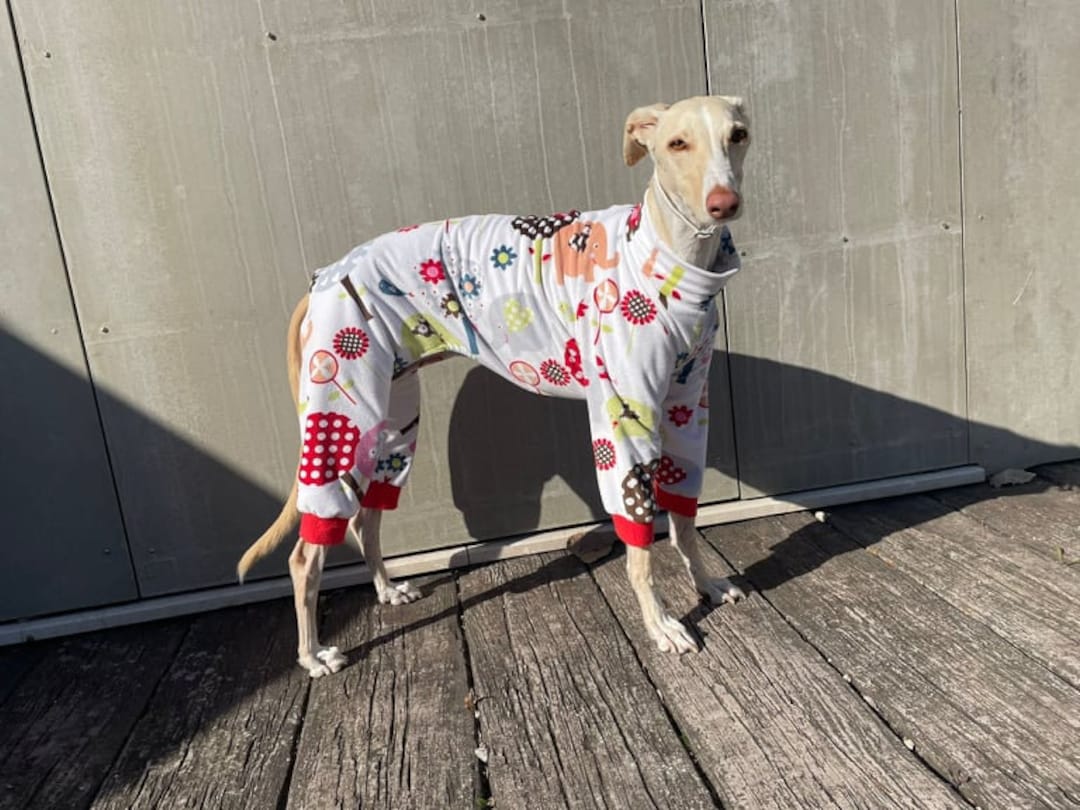 Dog Pajama / Jumpsuit - All Sizes - Pajama Greyhound, Whippet - Pajamas ...