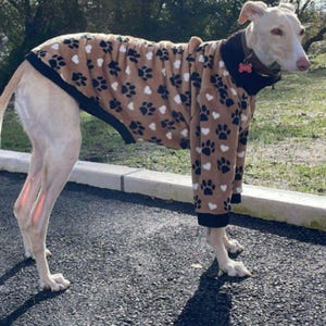 Dog Sweater / Jacket / Coat - Galgo. Greyhound Sweater /Coat, Whippet Coat
