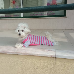 Dog Pajamas - Pajamas for little dogs, All Sizes pajamas for Any Dogs