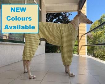 Pajama Greyhound, Saluki, Whippet, Wolfhound, Deerhound, Borzoi, Sloughi, Afghan hound / Ropa para Greyhound, dogs clothes- 6 Sizes