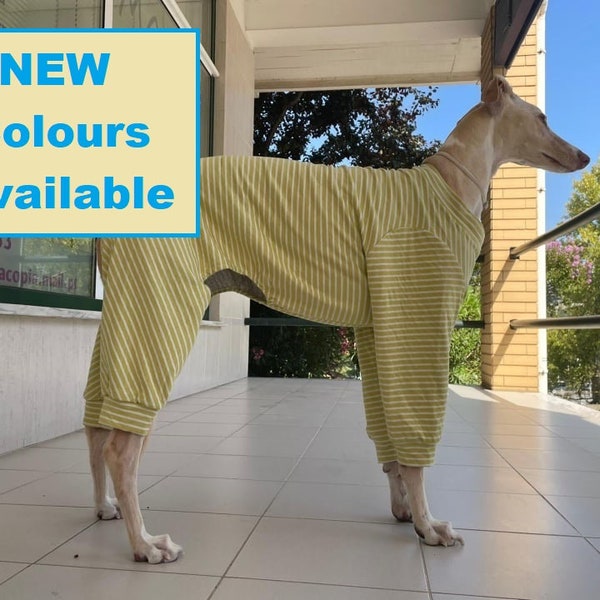 Pyjama Greyhound, Saluki , Whippet, Wolfhound, Deerhound, Borzoi, Sloughi, Afghan hound / Ropa para Galgo, dogs clothes- 6 Sizes