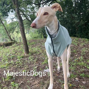 Dog Sweater / Jacket / Coat - Galgo. Greyhound Sweater /Coat, Whippet Coat