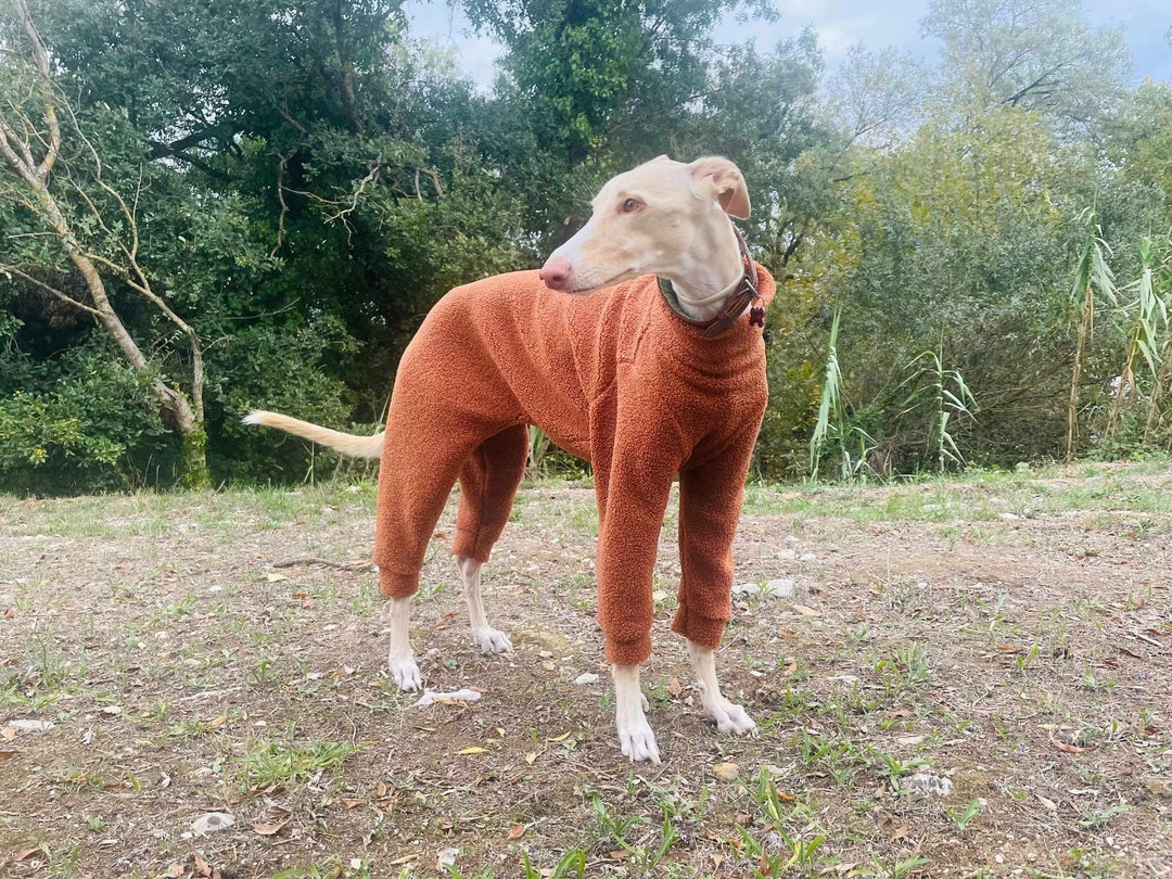Muddy Pups - Dog Pajama with Yellow Neck & Trim/Sleeves