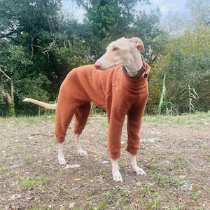 Dog Pajama meury mesh / Jumpsuit - All Sizes - Pajama Greyhound, Whippet - Pajamas for any dog