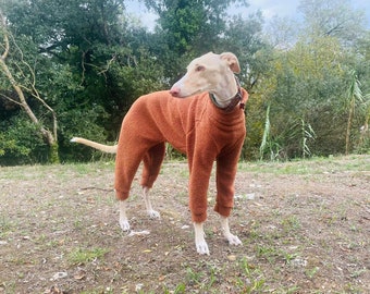 Dog Pajama meury mesh / Jumpsuit - All Sizes - Pajama Greyhound, Whippet - Pajamas for any dog