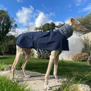 Waterproof Winter Lined Dog Rain Coat with Adjustable Clip Strap - All Sizes for Greyhound, Whippet and All Dogs