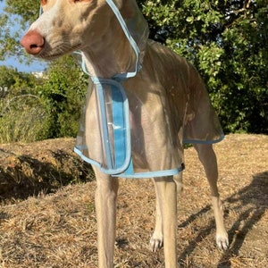 Manteau de pluie pour chien, manteau d'hiver imperméable doublé avec sangle à clip réglable toutes tailles pour lévrier, whippet et tous les chiens image 2