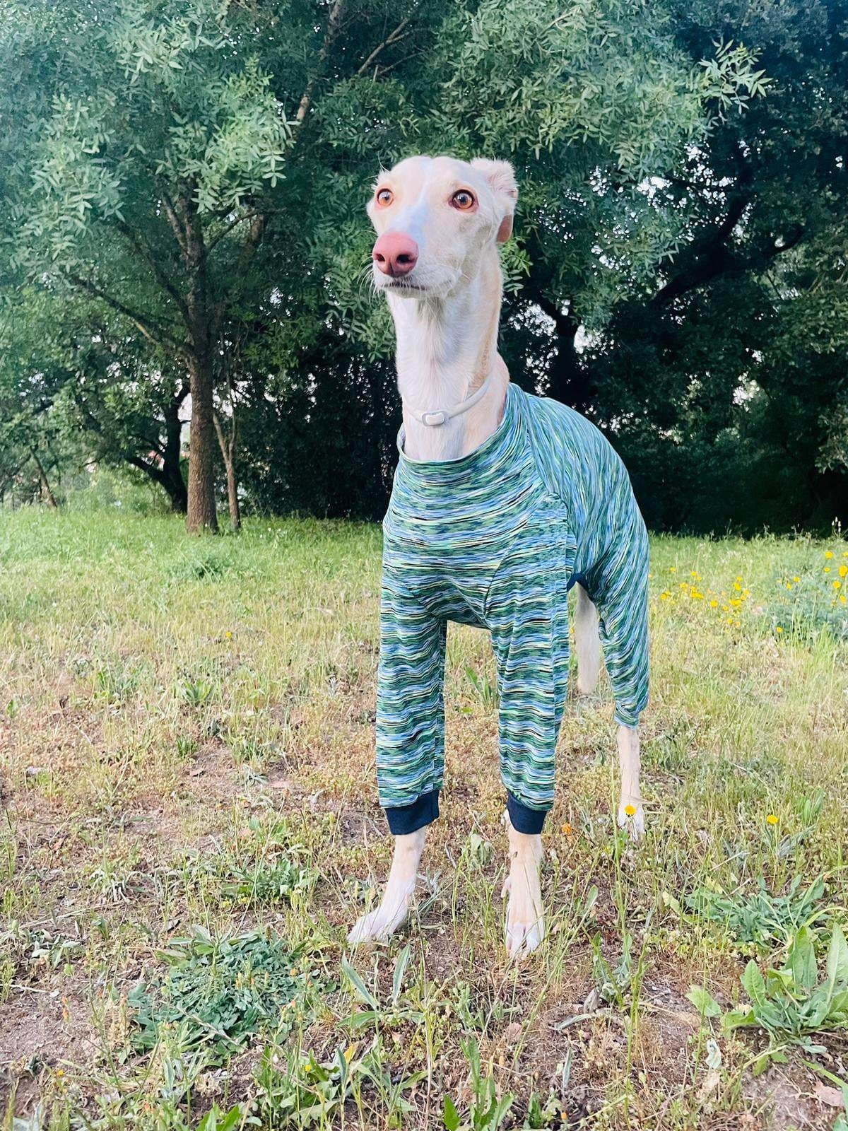 Dog Pajamas - All Sizes - Lightweight Pajamas Greyhound, Whippet ...