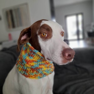 Hunde-Snood – Haustier-Snood – Windhund/Whippet-Halswärmer