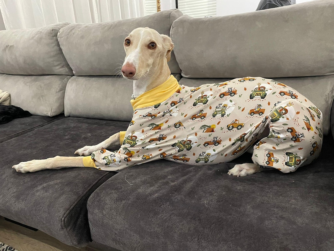 Dog Pajamas - All Sizes - Pajamas Greyhound, Whippet - Pajamas for Any ...