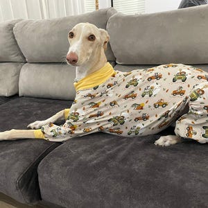 Dog Pajamas - All Sizes - Pajamas Greyhound, Whippet - Pajamas for any dog