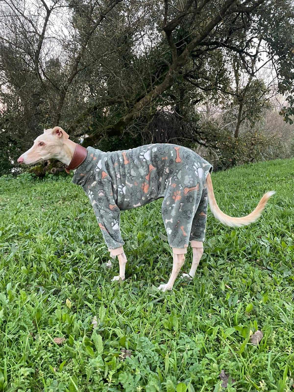 Dog Pajama / Jumpsuit - All Sizes - Pajama Greyhound, Whippet - Pajamas ...