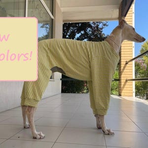 Pajama Greyhound, Saluki, Whippet, Wolfhound, Deerhound, Borzoi, Sloughi, Afghan hound / Ropa para Greyhound, dogs clothes- 6 Sizes