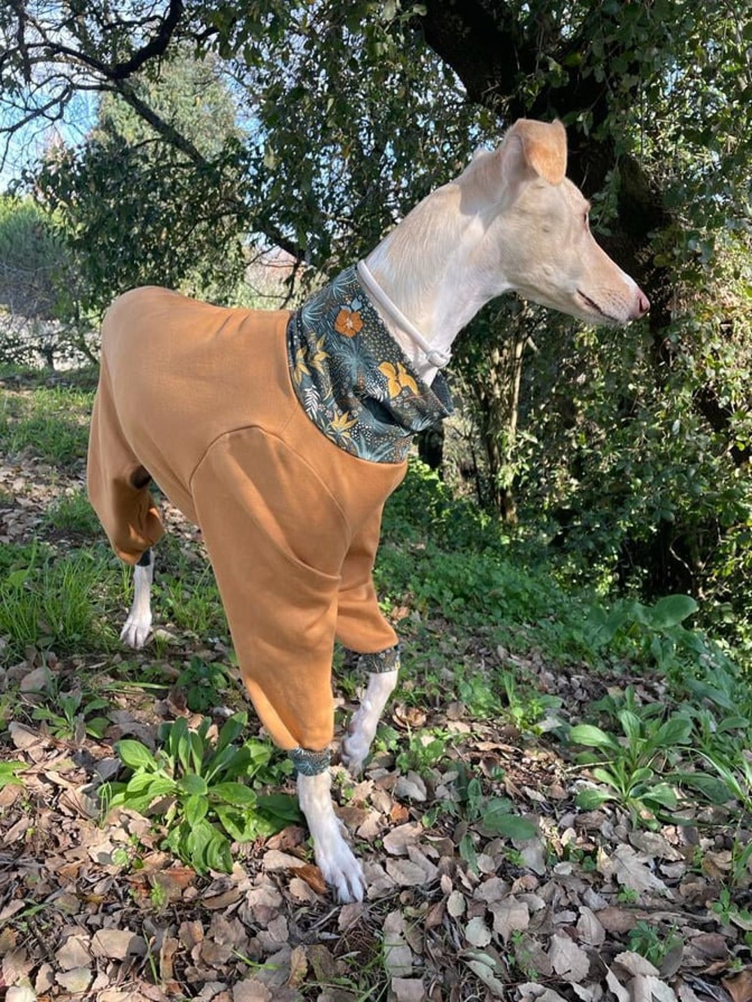 Dog Pajama - All Sizes - Pajama Greyhound, Whippet - Pajamas for Any ...