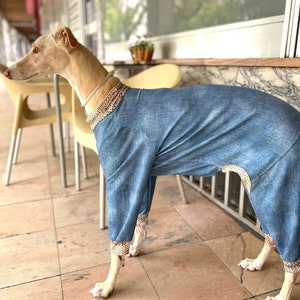 Hundepyjama / Jumpsuit Denim – Alle Größen – Pyjama Windhund, Whippet – Pyjama für jeden Hund