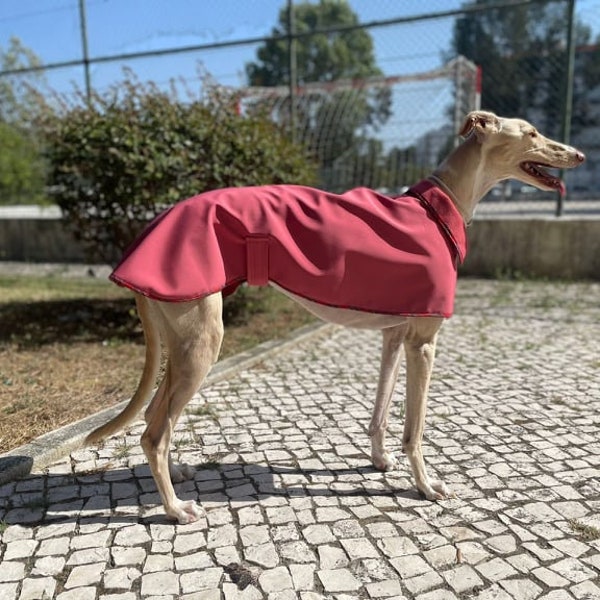 Manteau de pluie imperméable doublé d'hiver pour chien avec sangle à clip réglable – Toutes les tailles pour lévrier, whippet et tous les chiens