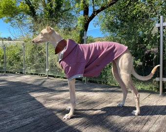 galgo coats
