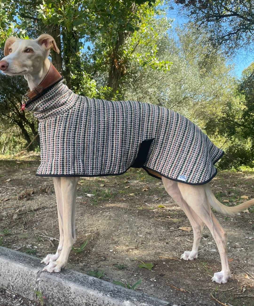 Wool Greyhound Coat Etsy