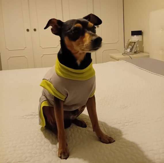 Perros Pequeños Pijamas Para Perros Pincher Pijamas Para Perros