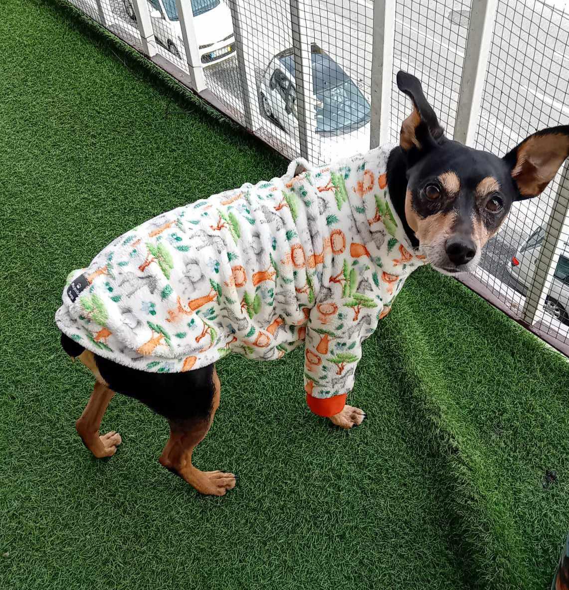 Maltese Pajamas - Etsy