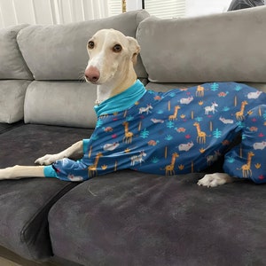 Dog Pajamas - All Sizes - Pajamas Greyhound, Whippet - Pajamas for any dog