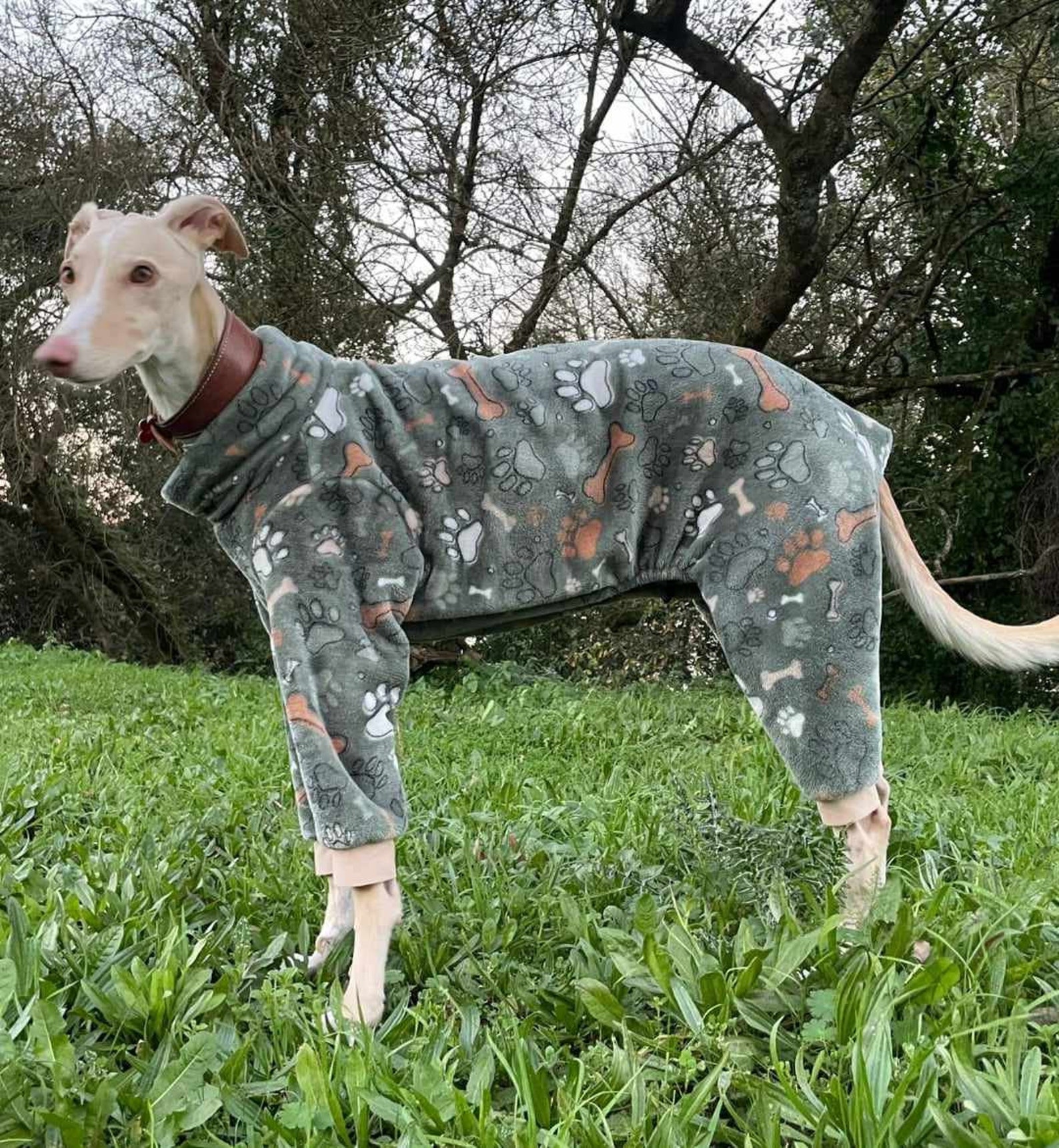 Dog Pajama / Jumpsuit - All Sizes - Pajama Greyhound, Whippet - Pajamas ...