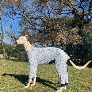 Pyjama Greyhound, Saluki, Whippet, Wolfhound, Deerhound, Barzoi, Sloughi, Afghan lévrier / Ropa para Greyhound, vêtements pour chiens- 6 Tailles